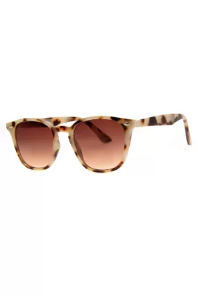 Edwards Sunglasses