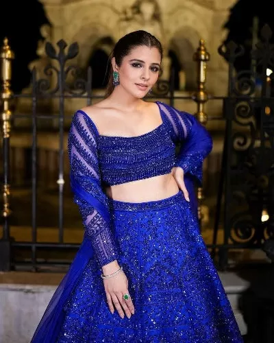 Electric Blue Butterfly Semi Stitched Lehenga Choli Set