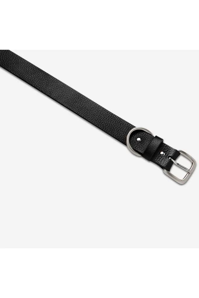 Status Anxiety - Disarm - Belt - Black/silver